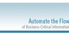Borderless Solutions Inc.